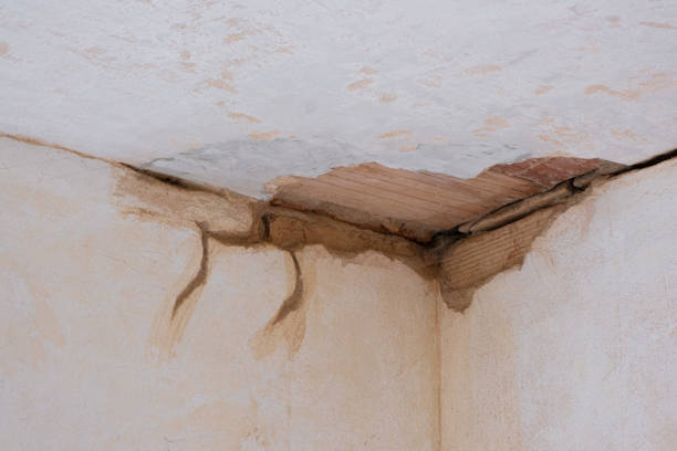 Best Local water damage restoration  in La Riviera, CA