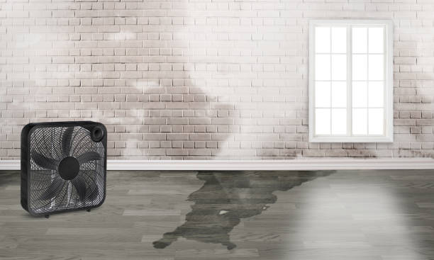 Best Water damage contractors near me  in La Riviera, CA